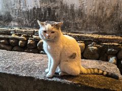 -前童古镇