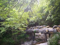 -罗田薄刀峰风景区