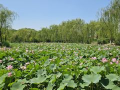 -南翠屏公园