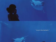 -多彩贵州城极地海洋世界