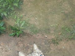 -青藏高原野生动物园