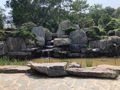 -东莞植物园