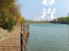 -北宫国家森林公园