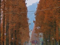 -青城山