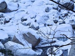 -青峰峡国家森林公园