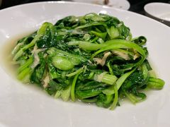 青青毛菜豆腐衣-上海小南国(国发店)