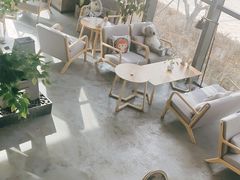 -了不起的考拉咖啡店(高新店)