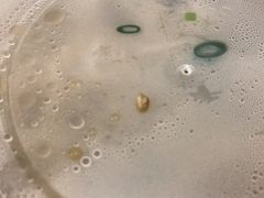 -肥仔记 面家