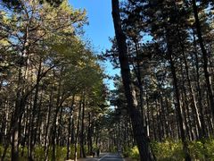 -长春净月潭风景名胜区