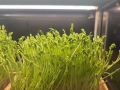 -捞王锅物料理(金华义乌之心店)