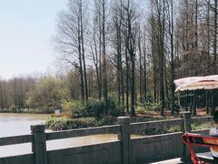 -上海海湾国家森林公园