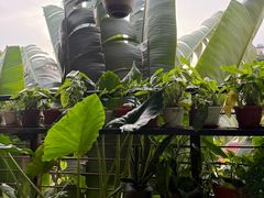 -地理学家咖啡馆