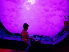 -沈阳海洋探索中心