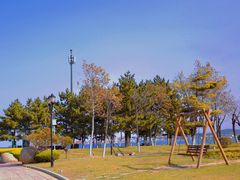 -悦海公园