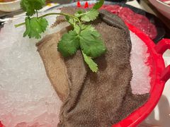 -红鼎坊·老成都火锅(新南门店)