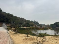 -南国桃园旅游度假区