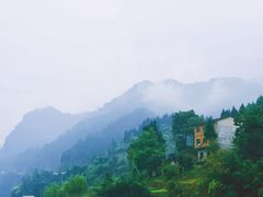 -后柳水乡