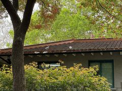 -上海宋庆龄故居纪念馆