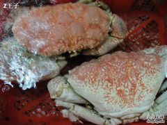 渔民新村44-渔民新村(番禺总店)