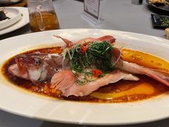 东星斑清蒸东星斑-维园悦谱·海派家常菜(乌鲁木齐南路店)