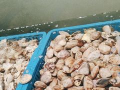 -曼格活海鲜·牛排自助(光明蓝鲸店)