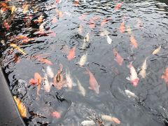 -南昌动物园