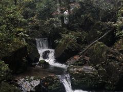 -龙苍沟森林公园