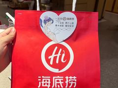-海底捞火锅(太阳宫凯德mall店)