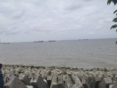 -上海滨江森林公园