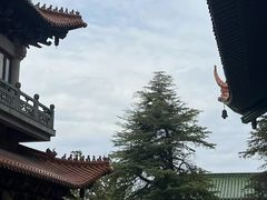 -高旻寺