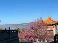 -崇圣寺三塔文化旅游区