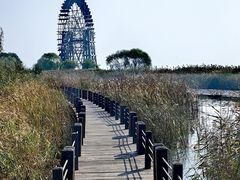 -苏州太湖湖滨国家湿地公园