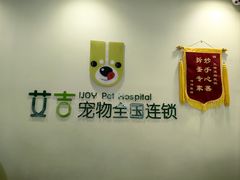 -艾吉宠物医院·疑难杂症转诊中心·猫友好(碧江路院)