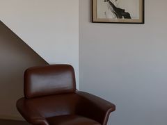 -上海柏悦酒店