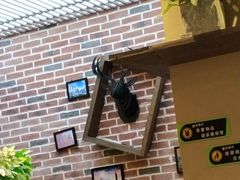-鹿角巷The Alley(龙湖天街店)