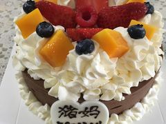 -莎琳娜食品有限公司·蛋糕店