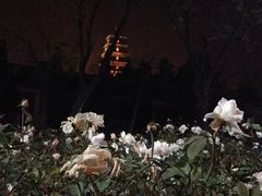 -胡桃里音乐酒馆(曲江店)