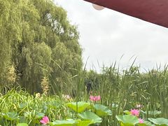 -沈阳鸟岛