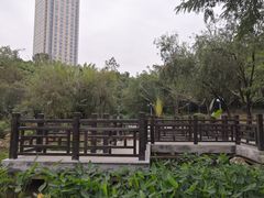 -深圳龙潭公园