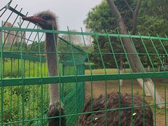 -长白岛森林公园