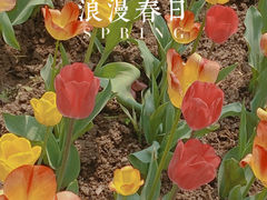 -陕西省西安植物园