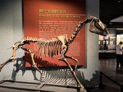 -齐齐哈尔市博物馆