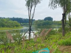 -东郊湿地公园