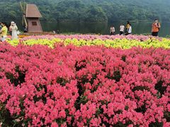 -广州市石门国家森林公园
