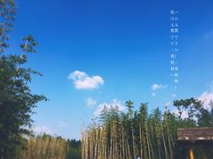 -白鹭湾湿地公园