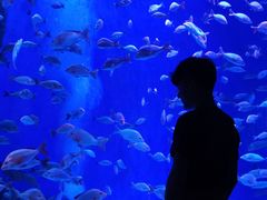 -成都浩海立方海洋公园