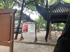 -秋霞圃