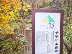 -北京鹫峰国家森林公园