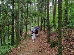-莫干山风景区