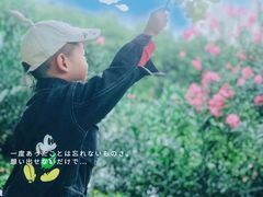 -汉水公园